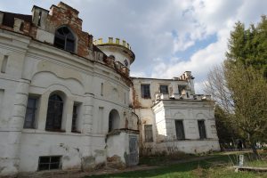 Дворец в Вишенках